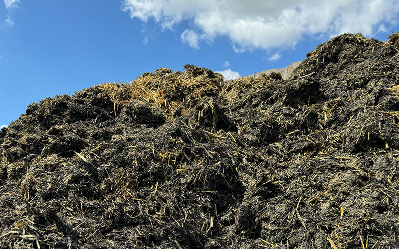 Biochar as an additive for substrates in composting